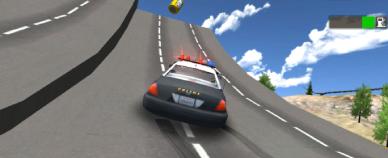 Police Car Stunt Driver